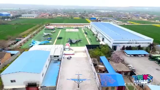 全国最大种植基地迎采收旺季——忠路雪柳俏销年宵花市