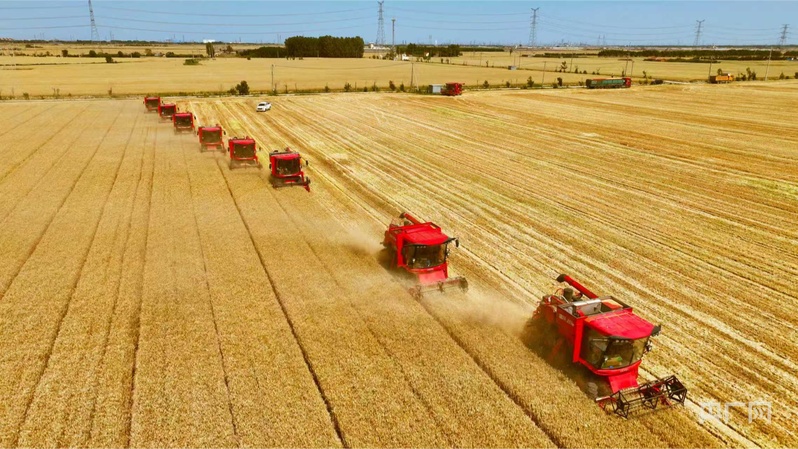 “看见更好潍坊”系列报道第二篇：耕读传承谱写文明新篇